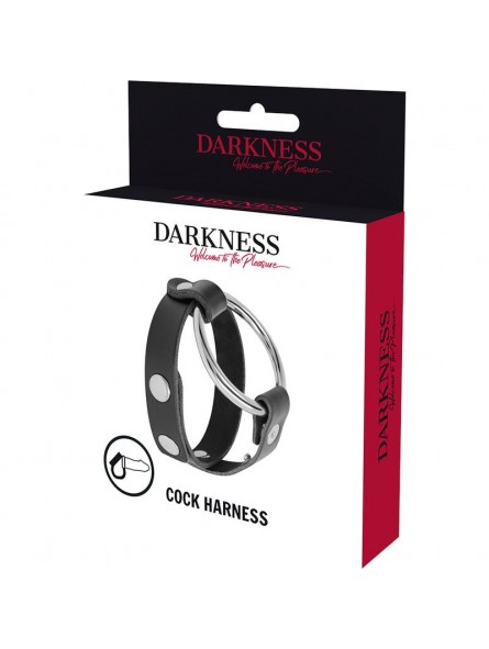 Darkness Anillo Para Pene & Testículos BDSM - Comprar Castidad masculina Darkness - Castidad masculina (2)